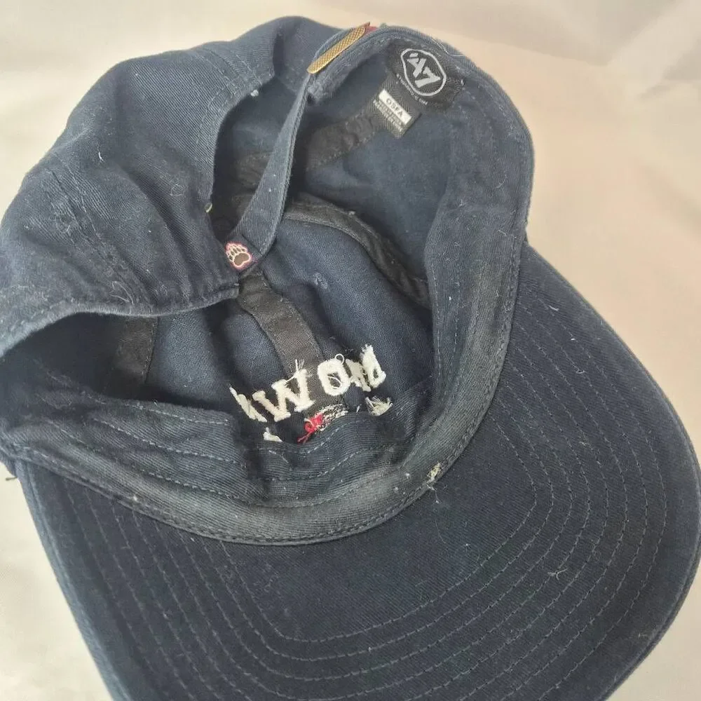 Brown Collegiate baseball cap